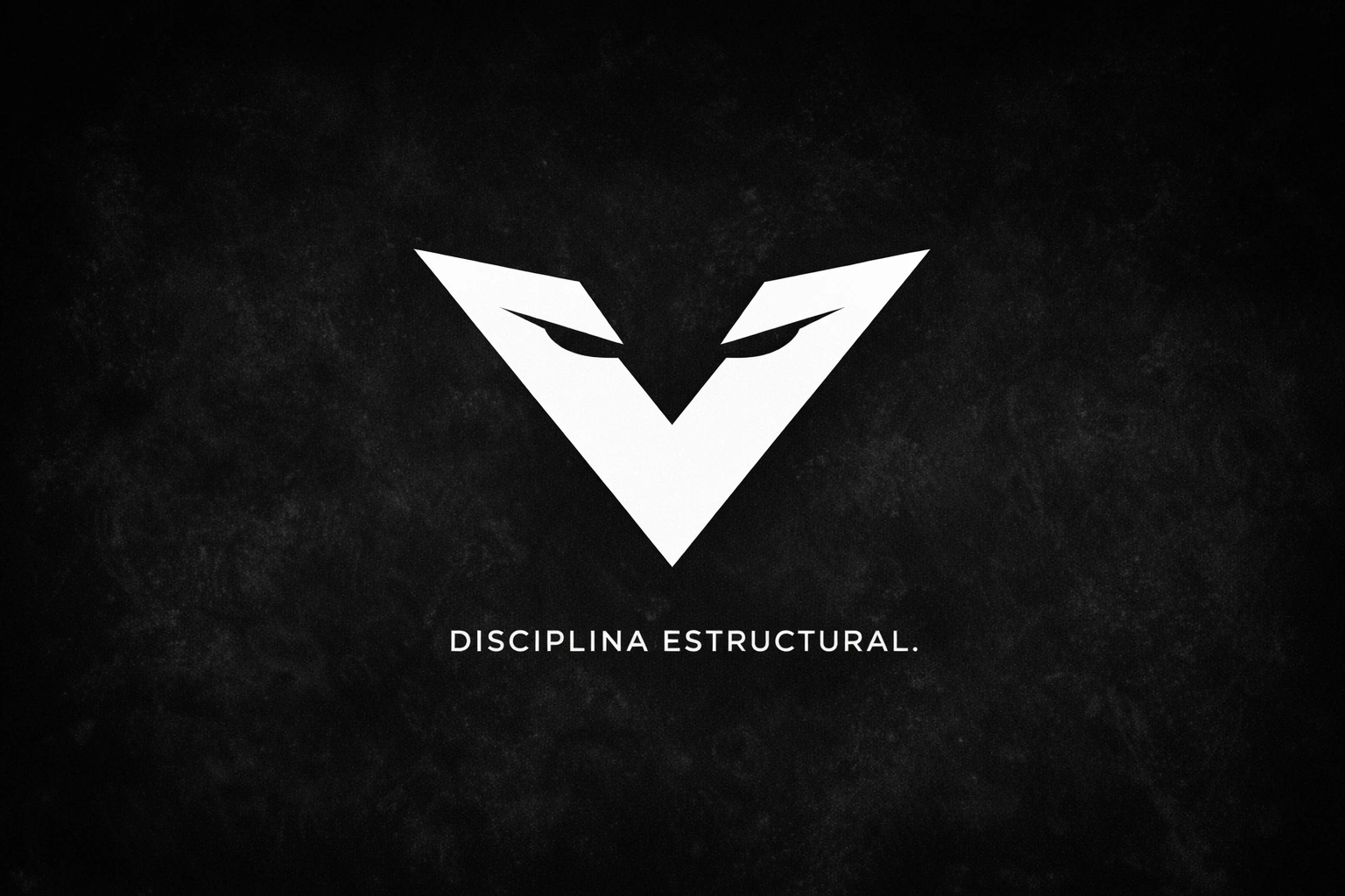 vidarys disciplina estructural identidad de marca