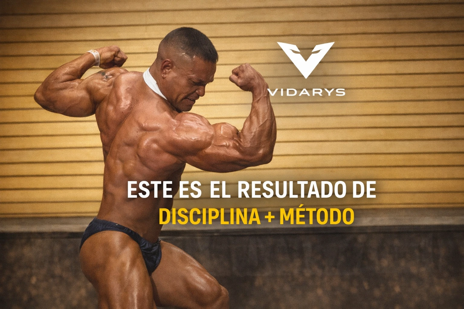transformacion-fisica-vidarys